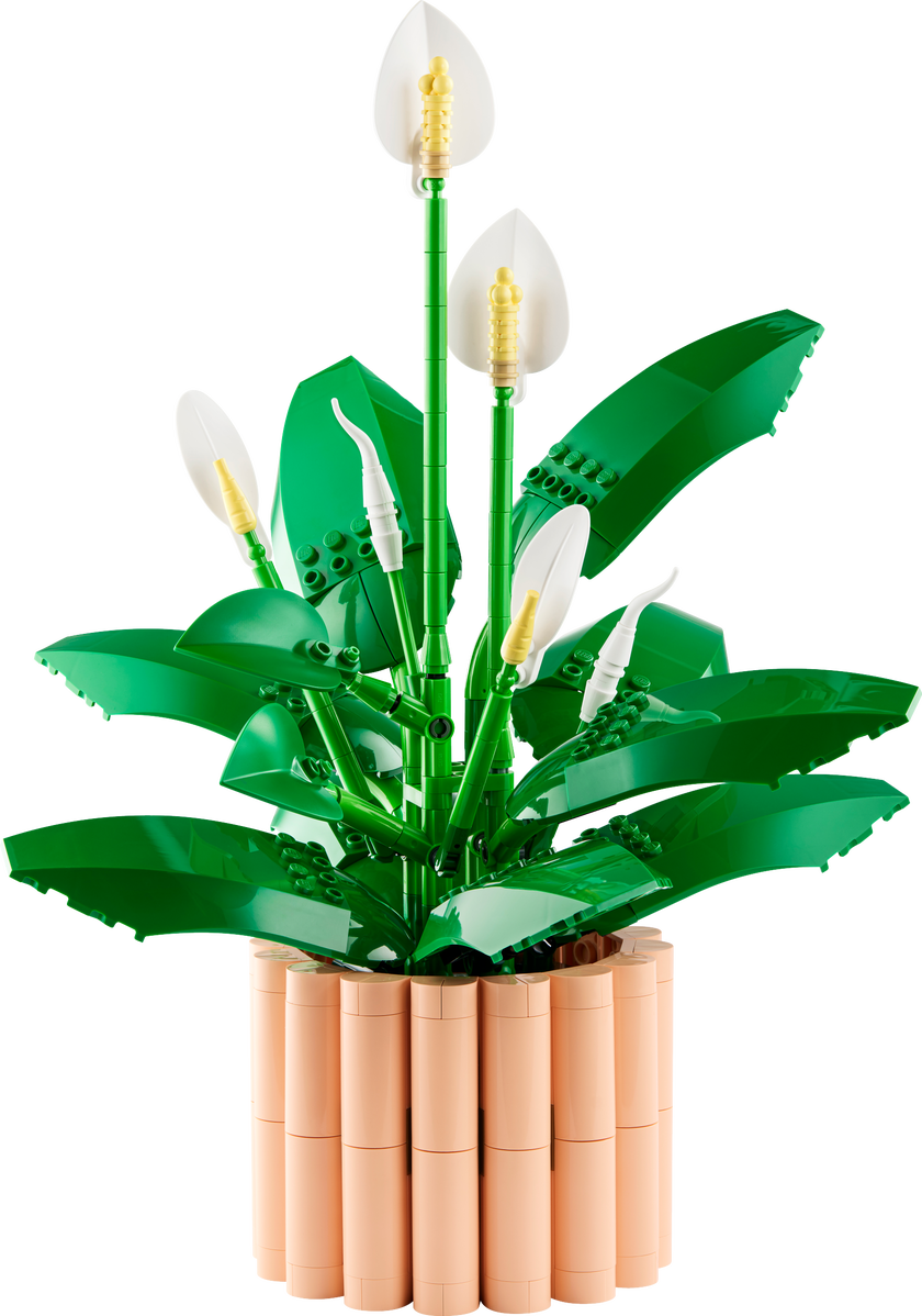 LEGO® Botanicals Fredslilja Blomsterprydnad 11504
