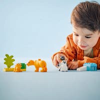 LEGO DUPLO Town 10442, Vilda djurfamiljer: Pingviner och lejon